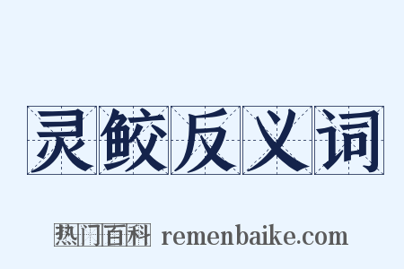 灵鲛反义词是什么意思的图片